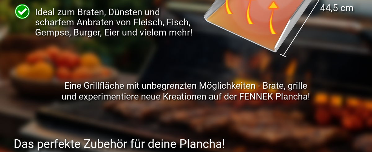 Infografik zu den Eigenschaften der FENNEK Plancha Rössle Vario