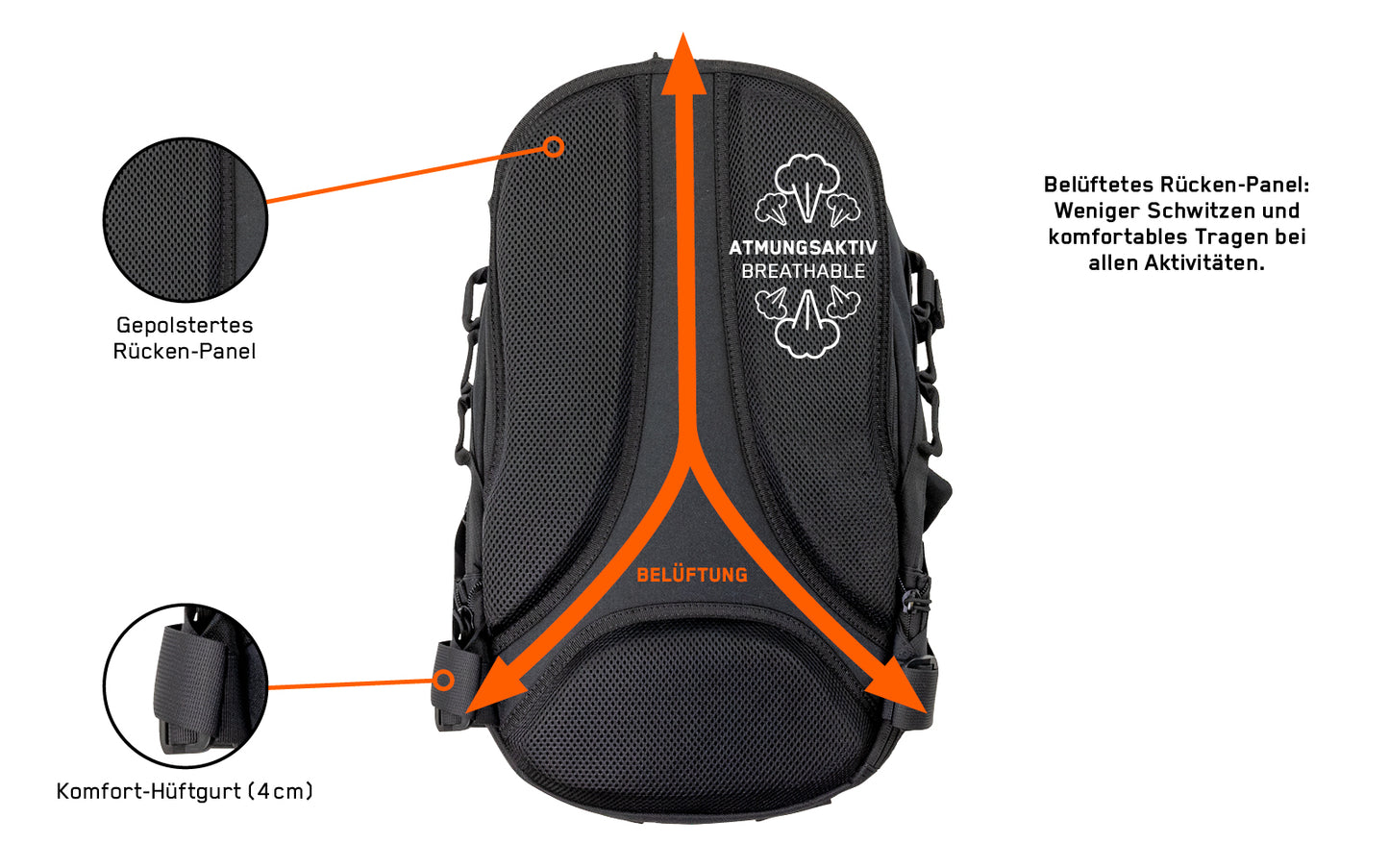Detaillierte Beschreibung der Rückwand mit Bebilderung des Backpack One2explore.